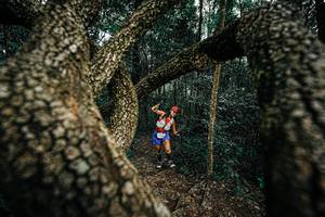 BIB: 
                            <button type="button" onclick="openModal(25393390)" class="btn btn-primary btn-sm float-right btn-popup" data-toggle="modal" data-target=".modal-high-quality">
                        <i class="fas fa-shopping-cart"></i> Add to Cart
                    </button>
                                            <button type="button" onclick="isThisMe(25393390, true)" class="btn btn-success btn-sm float-right btn-popup btn-isme hidden" data-toggle="tooltip" data-placement="bottom" title="นี่คือรูปของคุณใช่ไหม คลิกที่นี่เพื่อเอาเข้าอัลบั้ม">
                        <i class="fas fa-plus"></i> Add to album
                    </button>
                    <button type="button" onclick="isThisMe(25393390, false)" class="btn btn-warning btn-sm float-right btn-popup btn-isnotme hidden">
                        <i class="fas fa-ban"></i> Remove from album
                    </button>